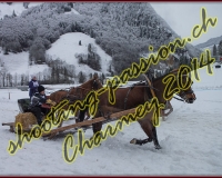 4CHARMEY060
