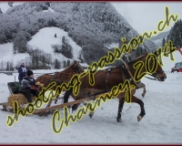 4CHARMEY061
