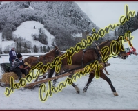 4CHARMEY062