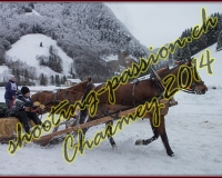 4CHARMEY063