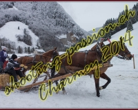 4CHARMEY064