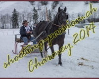 4CHARMEY067