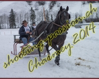 4CHARMEY068