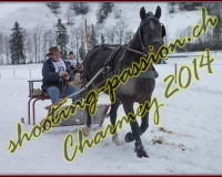 4CHARMEY070