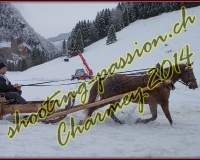 4CHARMEY071
