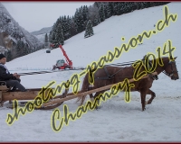 4CHARMEY072