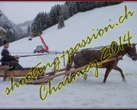 4CHARMEY073
