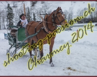 4CHARMEY074