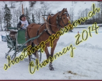 4CHARMEY075