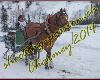 4CHARMEY076