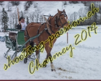 4CHARMEY077
