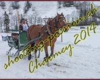 4CHARMEY078
