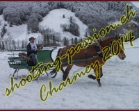 4CHARMEY080
