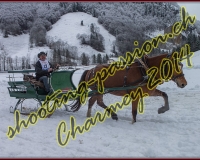 4CHARMEY081