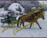 4CHARMEY082