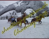 4CHARMEY086