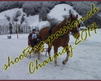 4CHARMEY090