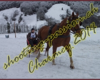4CHARMEY091