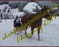 4CHARMEY093