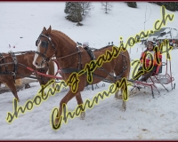 4CHARMEY097