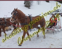 4CHARMEY098