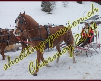 4CHARMEY099