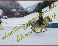 4CHARMEY110