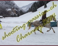 4CHARMEY111