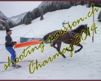 4CHARMEY116