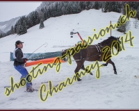 4CHARMEY117