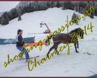 4CHARMEY118