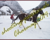 4CHARMEY119