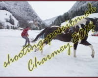 4CHARMEY120