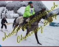 4CHARMEY126