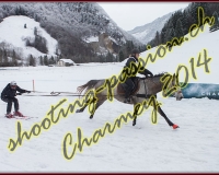 4CHARMEY134