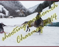 4CHARMEY135