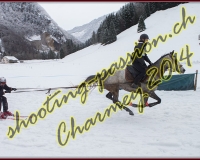 4CHARMEY136