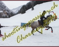 4CHARMEY137