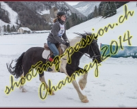 4CHARMEY142
