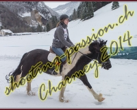 4CHARMEY143