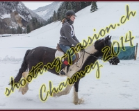 4CHARMEY144