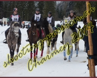4CHARMEY151