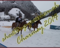 4CHARMEY162