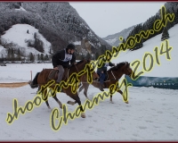 4CHARMEY164
