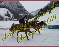 4CHARMEY165