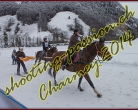 4CHARMEY178