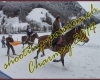 4CHARMEY179
