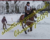 4CHARMEY186
