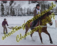 4CHARMEY188