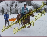 4CHARMEY190
